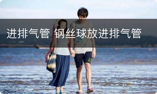 进排气管 钢丝球放进排气管