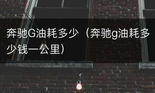 奔驰G油耗多少（奔驰g油耗多少钱一公里）