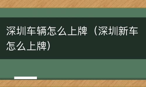 深圳车辆怎么上牌（深圳新车怎么上牌）