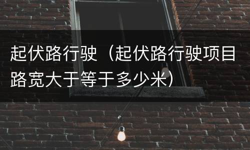 起伏路行驶（起伏路行驶项目路宽大于等于多少米）