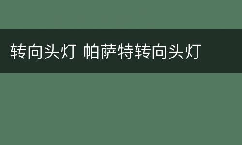 转向头灯 帕萨特转向头灯