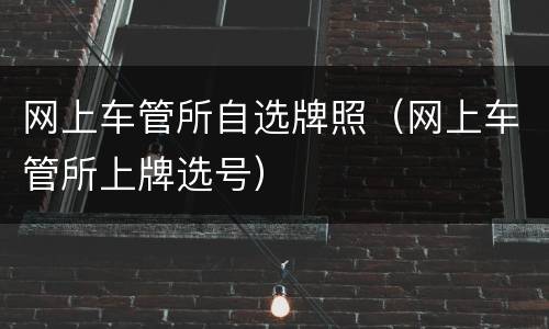 网上车管所自选牌照（网上车管所上牌选号）