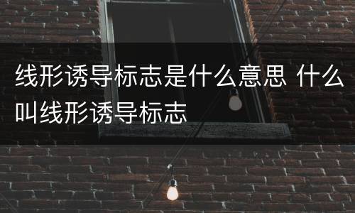 线形诱导标志是什么意思 什么叫线形诱导标志