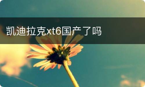 凯迪拉克xt6国产了吗