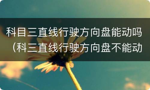 科目三直线行驶方向盘能动吗（科三直线行驶方向盘不能动吗）