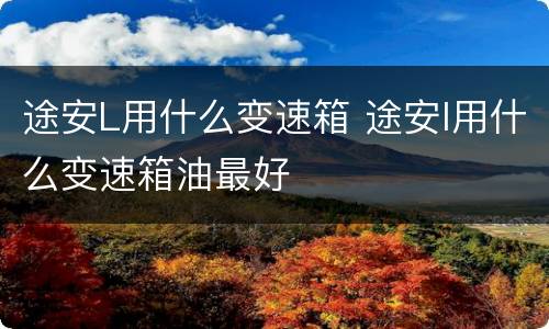 途安L用什么变速箱 途安l用什么变速箱油最好