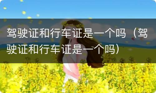 驾驶证和行车证是一个吗（驾驶证和行车证是一个吗）