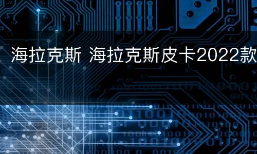 海拉克斯 海拉克斯皮卡2022款