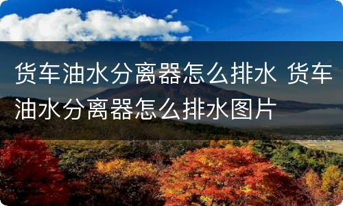 货车油水分离器怎么排水 货车油水分离器怎么排水图片
