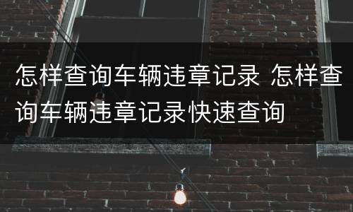 怎样查询车辆违章记录 怎样查询车辆违章记录快速查询