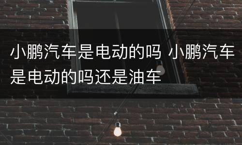 小鹏汽车是电动的吗 小鹏汽车是电动的吗还是油车