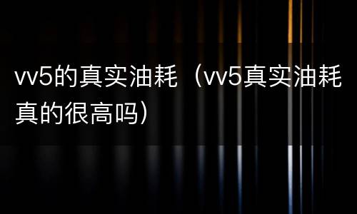 vv5的真实油耗（vv5真实油耗真的很高吗）