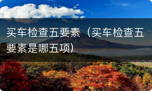 买车检查五要素（买车检查五要素是哪五项）