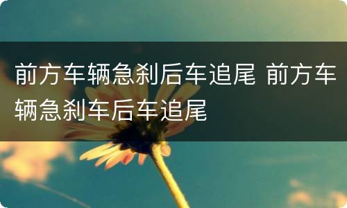 前方车辆急刹后车追尾 前方车辆急刹车后车追尾