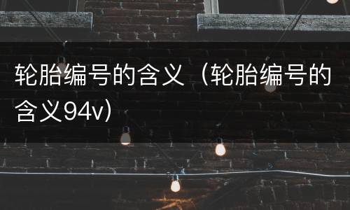 轮胎编号的含义（轮胎编号的含义94v）