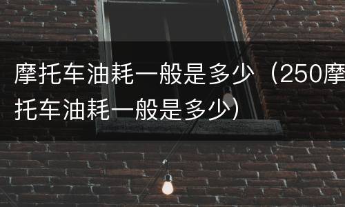 摩托车油耗一般是多少（250摩托车油耗一般是多少）