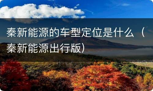 秦新能源的车型定位是什么（秦新能源出行版）