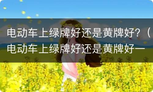 电动车上绿牌好还是黄牌好?（电动车上绿牌好还是黄牌好一点）
