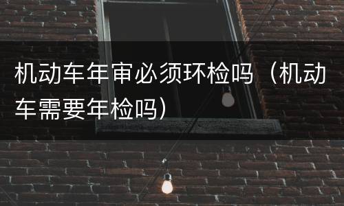 机动车年审必须环检吗（机动车需要年检吗）