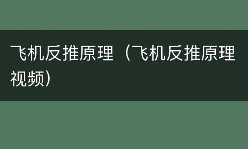 飞机反推原理（飞机反推原理视频）