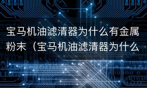 宝马机油滤清器为什么有金属粉末（宝马机油滤清器为什么有金属粉末味道）