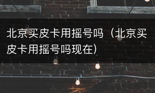 北京买皮卡用摇号吗（北京买皮卡用摇号吗现在）