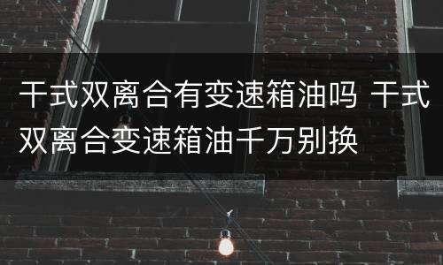 干式双离合有变速箱油吗 干式双离合变速箱油千万别换