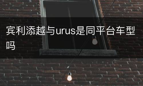 宾利添越与urus是同平台车型吗