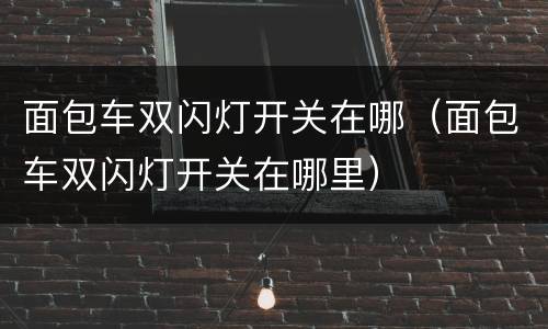 面包车双闪灯开关在哪（面包车双闪灯开关在哪里）