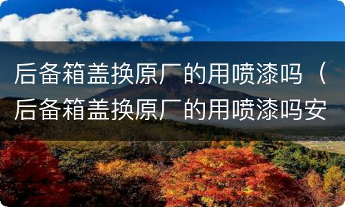 后备箱盖换原厂的用喷漆吗（后备箱盖换原厂的用喷漆吗安全吗）