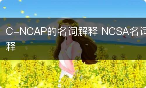 C-NCAP的名词解释 NCSA名词解释