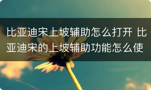 比亚迪宋上坡辅助怎么打开 比亚迪宋的上坡辅助功能怎么使用