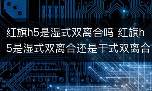 红旗h5是湿式双离合吗 红旗h5是湿式双离合还是干式双离合