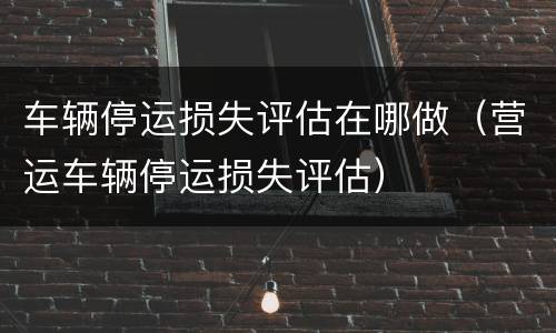 车辆停运损失评估在哪做（营运车辆停运损失评估）