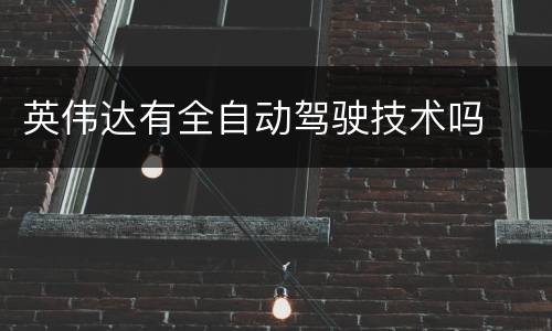 英伟达有全自动驾驶技术吗