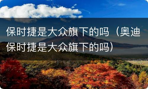 保时捷是大众旗下的吗（奥迪保时捷是大众旗下的吗）
