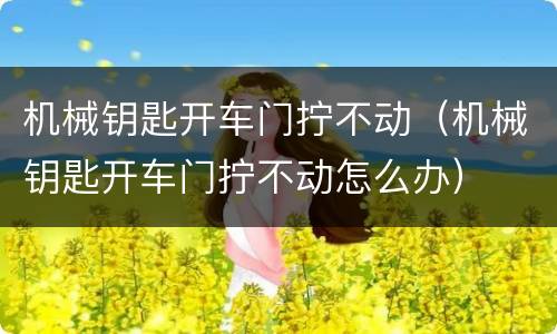 机械钥匙开车门拧不动（机械钥匙开车门拧不动怎么办）