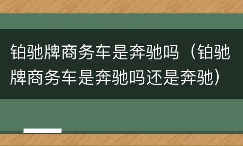 铂驰牌商务车是奔驰吗（铂驰牌商务车是奔驰吗还是奔驰）