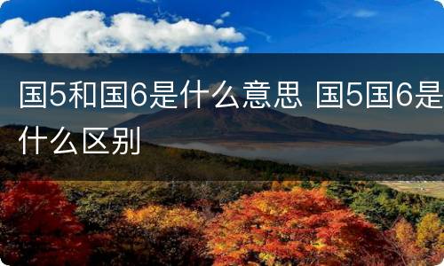 国5和国6是什么意思 国5国6是什么区别