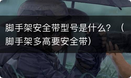 脚手架安全带型号是什么？（脚手架多高要安全带）