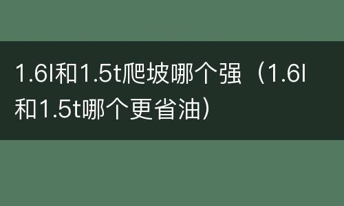 1.6l和1.5t爬坡哪个强（1.6l和1.5t哪个更省油）