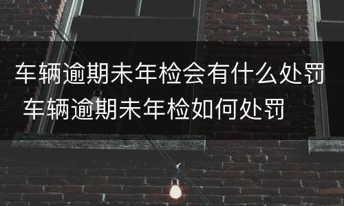 车辆逾期未年检会有什么处罚 车辆逾期未年检如何处罚