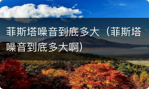 菲斯塔噪音到底多大（菲斯塔噪音到底多大啊）