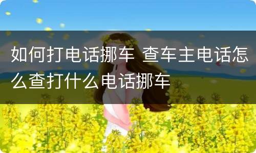 如何打电话挪车 查车主电话怎么查打什么电话挪车