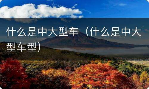 什么是中大型车（什么是中大型车型）