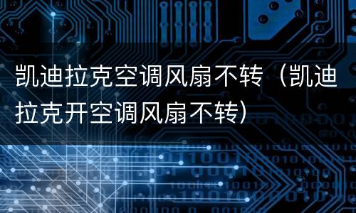 凯迪拉克空调风扇不转（凯迪拉克开空调风扇不转）