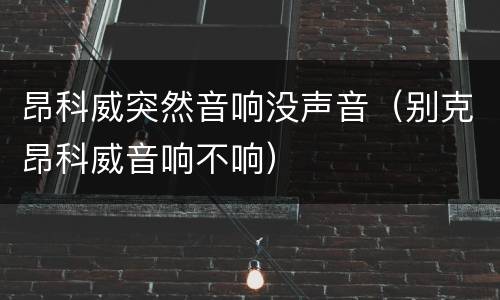 昂科威突然音响没声音（别克昂科威音响不响）