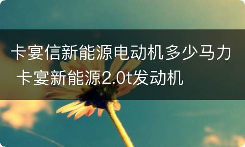 卡宴信新能源电动机多少马力 卡宴新能源2.0t发动机