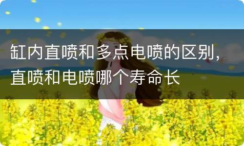 缸内直喷和多点电喷的区别，直喷和电喷哪个寿命长