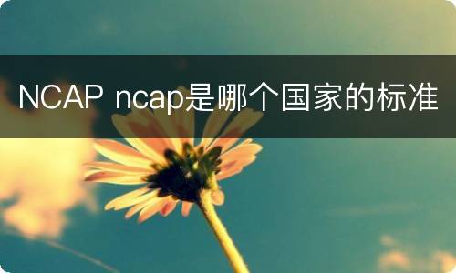 NCAP ncap是哪个国家的标准